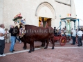 Festeggiamenti del Santo Patrono San Pietro Apostolo 2014 - 5 e 7 Settembre 2014 - ParteollaClick