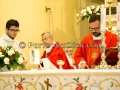 Santu Braixeddu 2015 - Dolianova - 3 Febbraio 2015 - ParteollaClick