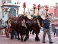 Festa San Giovanni Battista - Settimo San Pietro - 24 e 25 Giugno 2015 - ParteollaClick