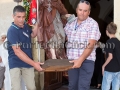 Santi Patroni San Giacomo e Sant'Anna - Soleminis - 25 e 26 Luglio 2015 - ParteollaClick