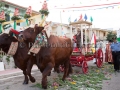 Santi Patroni San Giacomo e Sant'Anna - Soleminis - 25 e 26 Luglio 2015 - ParteollaClick