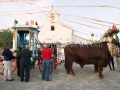 San Pietro Apostolo - Settimo San Pietro - 4 Settembre 2016 - ParteollaClick