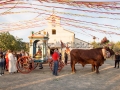 San Pietro Apostolo - Settimo San Pietro - 4 Settembre 2016 - ParteollaClick