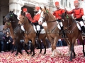 362ª Festa di Sant'Efisio - Sardegna, Cagliari - 1 Maggio 2018 - ParteollaClick