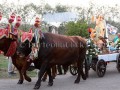 Nostra Signora della Difesa 2019 - Donori - Dall'11 al 22 Settmbre 2019 - ParteollaClick