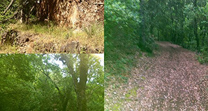 Alcune foto in un'unica immagine di sentieri e scorci di Monte Arrubiu a Soleminis