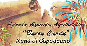 Locandina per il Capodanno 2014 all'Agriturismo Baccu Cardu - Serdiana - 31 Dicembre 2013 - ParteollaClick