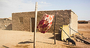 Foto di una casa in terra cruda con un lenzulo steso nel cortile e due maialini neri che mangiano