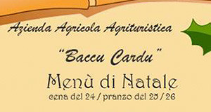 Locandina Menù Pranzo di Natale 2013 - Agriturismo Baccu Cardu - Serdiana - ParteollaClick