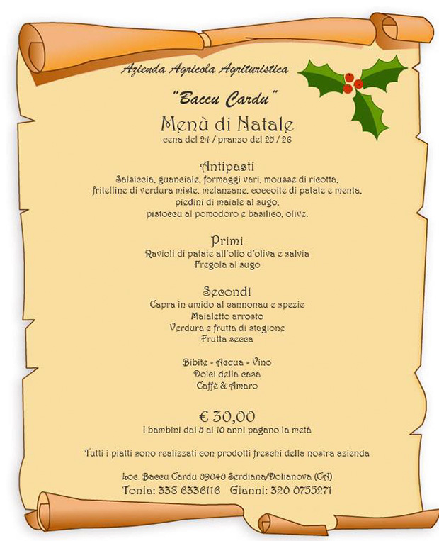 Menù Pranzo di Natale 2013 - Agriturismo Baccu Cardu - Serdiana - ParteollaClick