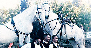 Cavalieri del Parteolla in posa con i loro cavalli che fanno da cornice
