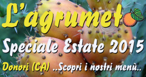 Banner Estate 2015 all'Agriturismo L'Agrumeto - Donori - dal 21 Giugno al 23 Settembre 2015 - ParteollaClick