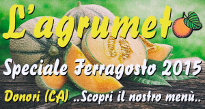 Banner Ferragosto 2015 all'Agriturismo L'Agrumeto - Donori - 15 Agosto 2015 - ParteollaClick