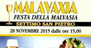 Banner Festa della Malvasia 2015 - Settimo San Pietro - 28 Novembre 2015 - ParteollaClick