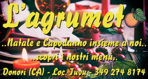 Banner Natale 2015 e Capodanno 2016 alla Azienda Agrituristica Fattoria Didattica L'Agrumeto - Donori - ParteollaClick