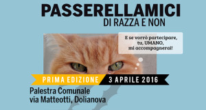Banner 1ª edizione della mostra felina amatoriale Passerellamici di razza e non - Dolianova - 3 Aprile 2016 - ParteollaClick