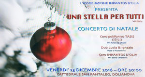 Banner Ottava edizione del Concerto Una Stella per Tutti - Dolianova - 23 Dicembre 2016 - ParteollaClick