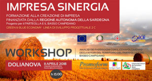 Presentazione progetto Impresa Sinergia con l’Unione dei Comuni del Parteolla e Basso Campidano - Comune di Dolianova - 11 Aprile 2018 - ParteollaClick