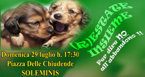 Banner R...Estate Insieme 2018, cani in passerella per dire NO all'abbandono - Soleminis - 29 Luglio 2018 - ParteollaClick