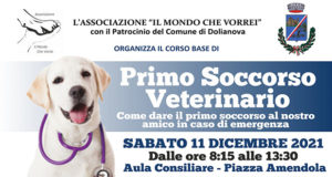 Banner Corso base gratuito di Primo Soccorso Veterinario, nell'aula consiliare di Piazza Amendola - Dolianova - 11 Dicembre 2021 - ParteollaClick