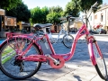 Settimana della Mobilità Sostenibile 2013 - Dolianova Settimana della Mobilità Sostenibile 2013 - Dolianova