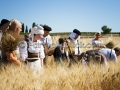 Sagra della Mietitura 2014 - Dolianova - 28 Giugno 2014 - ParteollaClick Sagra della Mietitura 2014 - Dolianova - 28 Giugno 2014 - ParteollaClick
