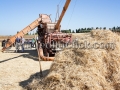 Sagra della Mietitura 2014 - Dolianova - 28 Giugno 2014 - ParteollaClick Sagra della Mietitura 2014 - Dolianova - 28 Giugno 2014 - ParteollaClick