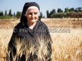 Sagra della Mietitura 2014 - Dolianova - 28 Giugno 2014 - ParteollaClick Sagra della Mietitura 2014 - Dolianova - 28 Giugno 2014 - ParteollaClick