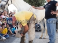 Dodicesima Edizione Maistus et Maistas - Donori - 20 Giugno 2015 - ParteollaClick Dodicesima Edizione Maistus et Maistas - Donori - 20 Giugno 2015 - ParteollaClick