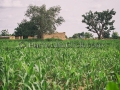 I Sorrisi di Ouagadougou, la Sardegna abbraccia l'Africa - Burkina Faso - Settembre 2015 - ParteollaClick I Sorrisi di Ouagadougou, la Sardegna abbraccia l'Africa - Burkina Faso - Settembre 2015 - ParteollaClick