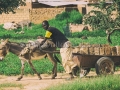 I Sorrisi di Ouagadougou, la Sardegna abbraccia l'Africa - Burkina Faso - Settembre 2015 - ParteollaClick I Sorrisi di Ouagadougou, la Sardegna abbraccia l'Africa - Burkina Faso - Settembre 2015 - ParteollaClick