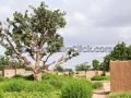 I Sorrisi di Ouagadougou, la Sardegna abbraccia l'Africa - Burkina Faso - Settembre 2015 - ParteollaClick I Sorrisi di Ouagadougou, la Sardegna abbraccia l'Africa - Burkina Faso - Settembre 2015 - ParteollaClick