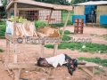 I Sorrisi di Ouagadougou, la Sardegna abbraccia l'Africa - Burkina Faso - Settembre 2015 - ParteollaClick I Sorrisi di Ouagadougou, la Sardegna abbraccia l'Africa - Burkina Faso - Settembre 2015 - ParteollaClick