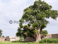 I Sorrisi di Ouagadougou, la Sardegna abbraccia l'Africa - Burkina Faso - Settembre 2015 - ParteollaClick I Sorrisi di Ouagadougou, la Sardegna abbraccia l'Africa - Burkina Faso - Settembre 2015 - ParteollaClick