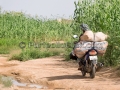 I Sorrisi di Ouagadougou, la Sardegna abbraccia l'Africa - Burkina Faso - Settembre 2015 - ParteollaClick I Sorrisi di Ouagadougou, la Sardegna abbraccia l'Africa - Burkina Faso - Settembre 2015 - ParteollaClick