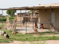 I Sorrisi di Ouagadougou, la Sardegna abbraccia l'Africa - Burkina Faso - Settembre 2015 - ParteollaClick I Sorrisi di Ouagadougou, la Sardegna abbraccia l'Africa - Burkina Faso - Settembre 2015 - ParteollaClick