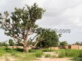 I Sorrisi di Ouagadougou, la Sardegna abbraccia l'Africa - Burkina Faso - Settembre 2015 - ParteollaClick I Sorrisi di Ouagadougou, la Sardegna abbraccia l'Africa - Burkina Faso - Settembre 2015 - ParteollaClick
