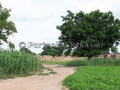 I Sorrisi di Ouagadougou, la Sardegna abbraccia l'Africa - Burkina Faso - Settembre 2015 - ParteollaClick I Sorrisi di Ouagadougou, la Sardegna abbraccia l'Africa - Burkina Faso - Settembre 2015 - ParteollaClick
