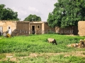 I Sorrisi di Ouagadougou, la Sardegna abbraccia l'Africa - Burkina Faso - Settembre 2015 - ParteollaClick I Sorrisi di Ouagadougou, la Sardegna abbraccia l'Africa - Burkina Faso - Settembre 2015 - ParteollaClick