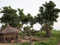 I Sorrisi di Ouagadougou, la Sardegna abbraccia l'Africa - Burkina Faso - Settembre 2015 - ParteollaClick I Sorrisi di Ouagadougou, la Sardegna abbraccia l'Africa - Burkina Faso - Settembre 2015 - ParteollaClick