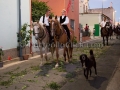 Festeggiamenti Patronali di San Pantaleo - Dolianova - 27 Luglio 2017 - ParteollaClick Festeggiamenti Patronali di San Pantaleo - Dolianova - 27 Luglio 2017 - ParteollaClick