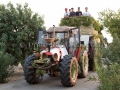 Festa di Santa Maria di Sibiola e San Raffaele Arcangelo 2017 - Serdiana - 8 Settembre 2017 - ParteollaClick Festa di Santa Maria di Sibiola e San Raffaele Arcangelo 2017 - Serdiana - 8 Settembre 2017 - ParteollaClick