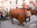 Nostra Signora della Difesa 2019 - Donori - Dall'11 al 22 Settmbre 2019 - ParteollaClick Nostra Signora della Difesa 2019 - Donori - Dall'11 al 22 Settmbre 2019 - ParteollaClick