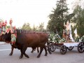 Nostra Signora della Difesa 2019 - Donori - Dall'11 al 22 Settmbre 2019 - ParteollaClick Nostra Signora della Difesa 2019 - Donori - Dall'11 al 22 Settmbre 2019 - ParteollaClick