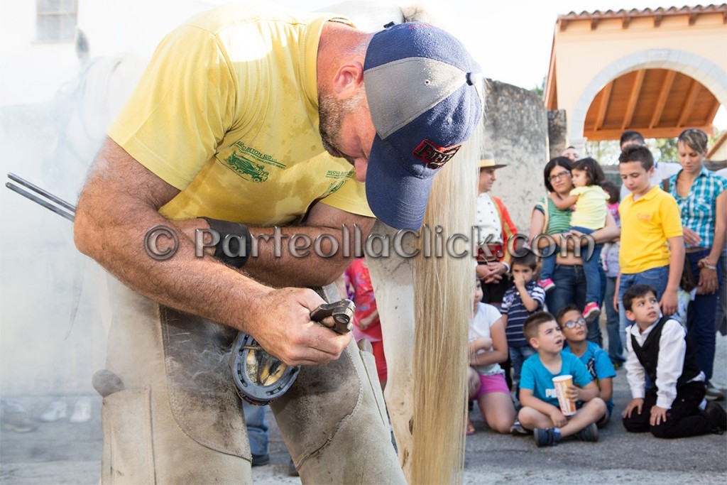 037 Dodicesima Edizione Maistus et Maistas - Donori - 20 Giugno 2015 - ParteollaClick